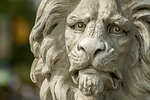 lion nature statue bust animal face head sculpture stock photo