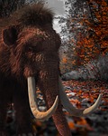 mammoth extinct animal nature stock photo