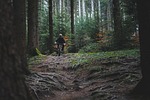 trail riding cycling nature forest woods bike ride stock photo