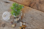 deco decoration decorative branch artificial flower still life stock photo