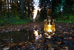 oil lamp trail camping forest woods kerosene nature stock photo