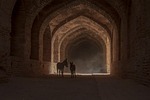 donkey horse silhouette hallway path desert quadruped nature stock photo