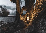 lantern sea heaven beach water clouds tree riverbank stock photo