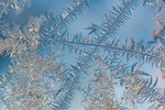 winter frost nature texture macro ice crystals stock photo