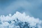 ice crystals frost winter macro stock photo
