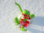kermit frog fun nature snow winter cold stock photo
