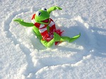 kermit frog fun snow winter nature cold stock photo