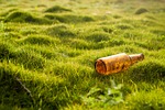 bottle pollution garbage grass lawn nature environmental protection stock photo