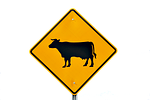 cattle crossing road sign traffic street cutout stock photo