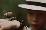 snail boy hand stock photo