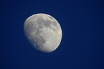 moon night sky moonlight cosmos nature stock photo