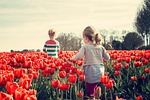 girls children flower background tulips beautiful flowers red stock photo