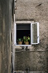 window plants city sill house nature croatia architecture stock photo