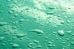 rain nature drops water droplets wet closeup stock photo