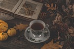 teacup tea autumn colours season october pumpkin read stock photo