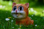 cat meadow animal pet cute fun solar stock photo