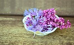 blossoms flower bowl wood tender decoration porcelain lilac stock photo