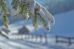 winter snow frost cold landscape snowy wintry fir stock photo