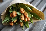 flowers beautiful tulips nature bouquet orange flower wallpaper stock photo