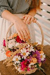 bouquet basket decorations young woman hands picnic chamomile stock photo