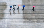 rain nature people umbrellas wet weather thunderstorm stock photo