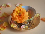 cup rose blossom dishes teacup bloom nature summer stock photo