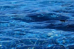 water ripples wave nature reflection pool blue clear stock photo
