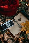 camera hat fallen leaves retro autumn lawn notebook stock photo
