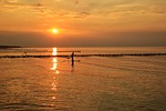 sunset sea paddle water calm silence clouds nature stock photo