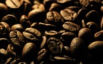 coffee beans grains seeds caffeine stock photo