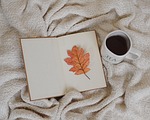 book leaf tea autumn fall nature reading beverage stock photo