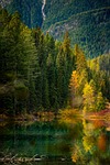 autumn nature reflection lake forest woods peaceful canada stock photo