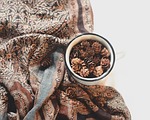 pinecone autumn nature brown texture pattern fabric seasonal stock photo