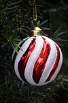 christmas ball red motif fir branches decorations advent stock photo