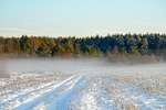 field forest sky winter fog landscape nature outdoors stock photo