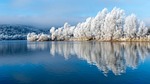 winter lake landscape trees snow cold frost frozen stock photo
