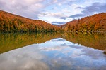 lake forest trees river landscape fall autumn nature stock photo