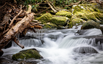 stream creek river forest nature water waterfall cascade stock photo