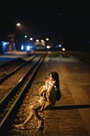 woman beauty outdoors railway girl vietnam glow light stock photo