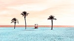 beach sea sand palm trees loneliness nature stock photo