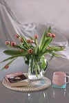 tulip flower wallpaper home vase pocketbook beautiful flowers stock photo