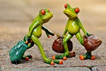 frogs fun travel suitcase bag nature vacations frog stock photo