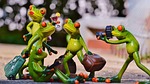 frogs group fun travel suitcase bag vacations nature stock photo