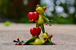 frogs few love valentine