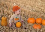 little boy fall autumn pumpkins november thanksgiving harvest stock photo