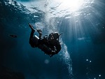 diver underwater dive man sports backlighting nature sea stock photo