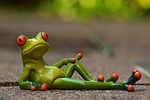 frog lying relaxed cute quiet nature figure fun stock photo