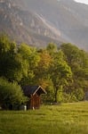 hut meadow nature field forest trees landscape tyrol stock photo