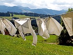 laundry dry hang clothesline drying clothing hanging washed stock photo