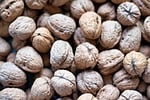 nuts walnuts shell hard brown fruit food stock photo